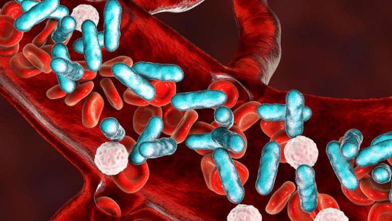Bloodstream Infection Testing Market by Technology and Geography - Forecast and Analysis 2021-2025