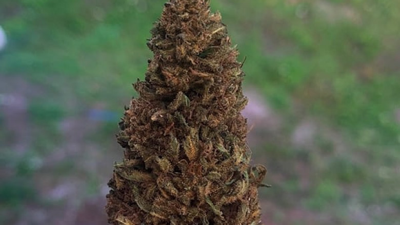 Healthy Alternatives to Smoking