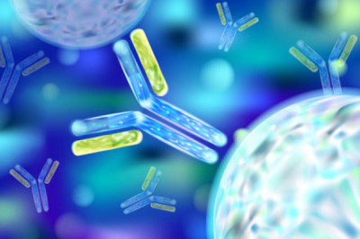 Learn More About Immunoglobulin