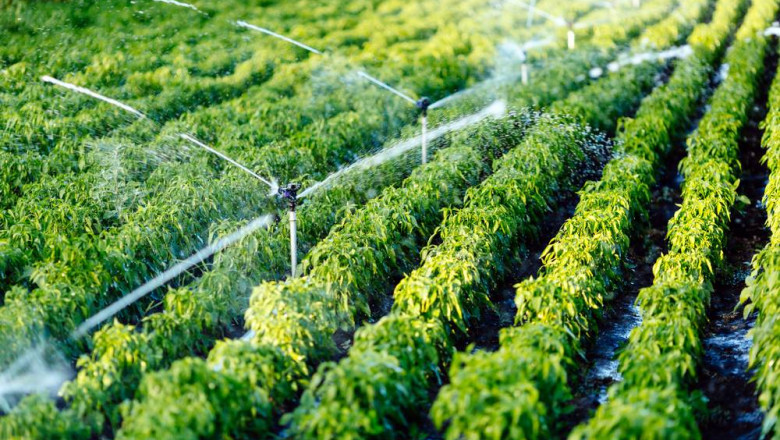 Micro Irrigation Market Current and Future Demand 2027 with Top Manufactures like Hunter Industries, Netafim,