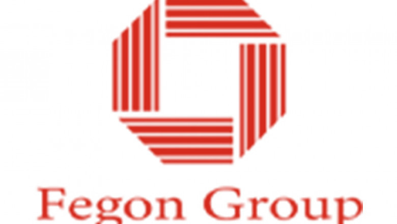 Fegon group
