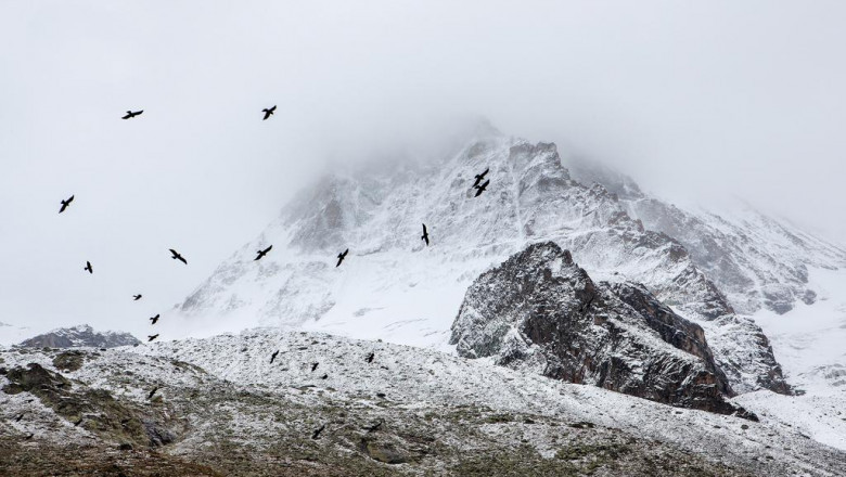 15 people you oughta know in the vr arcade industry