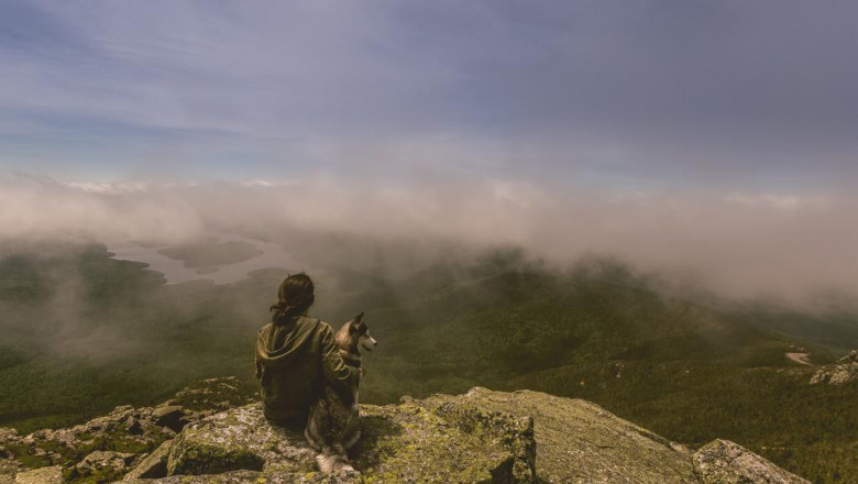 15 surprising stats about franchise realite virtuelle