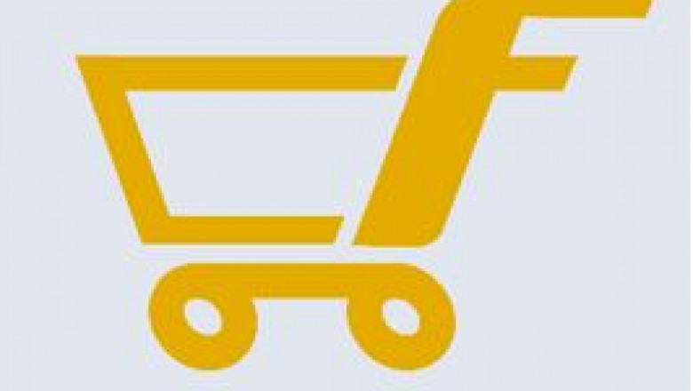 FiveM Scripts Developers