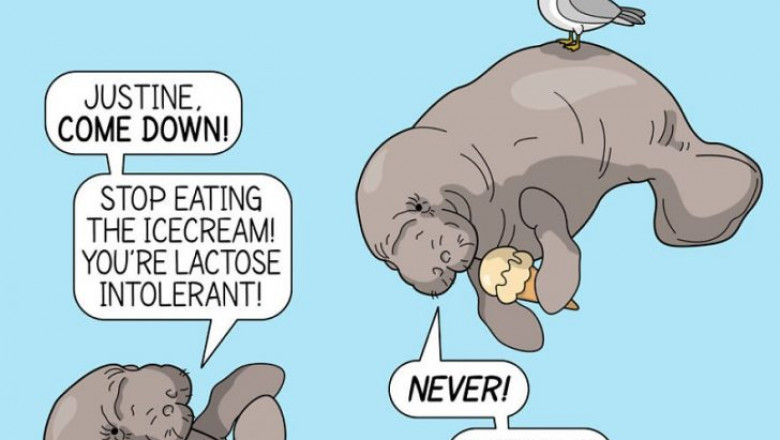 Bizarre Truths about Animals (15 Comics)