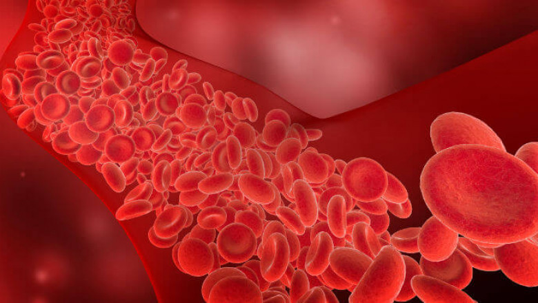 Europe Rehabilitation Therapy Services Market 2022 Growth, Share, Trend, Segmentation and Forecast to 2029