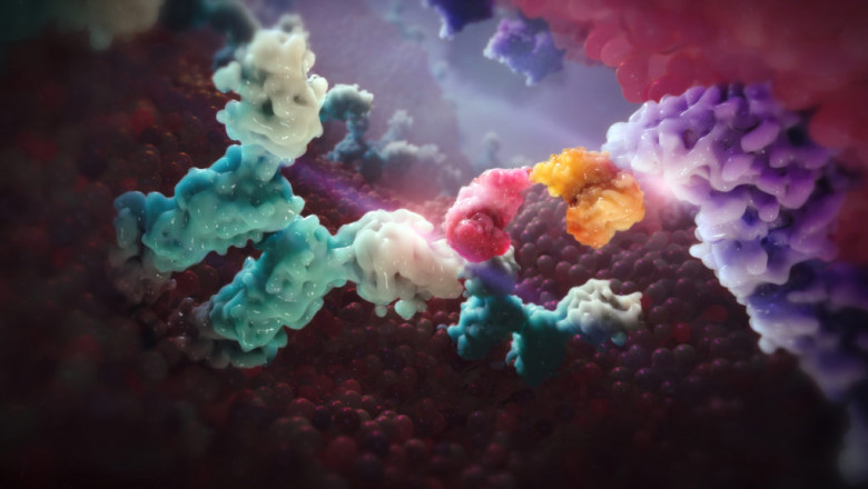Global Bispecific Antibody Market Overview