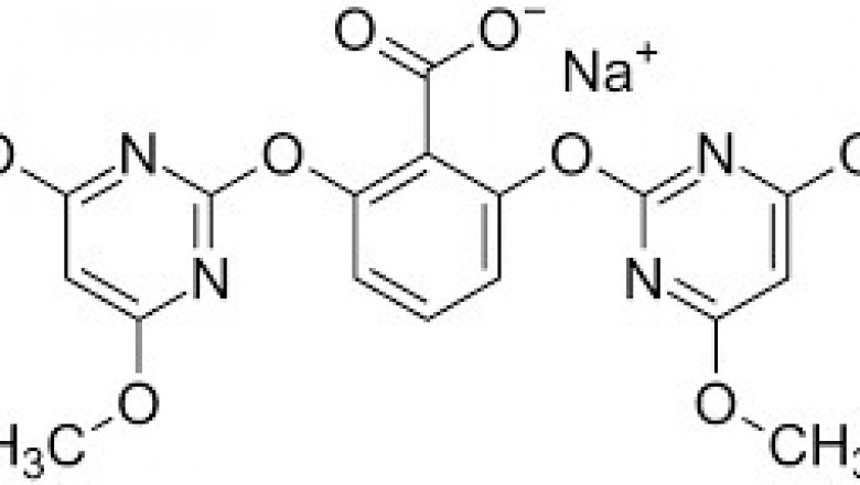 Global Bispyribac-Sodium market May Set New Growth Story: Kumiai Chemical Industry,Hefei Xingyu Chemical,Jiangsu Runze Agrochemical | IMR Market Reports