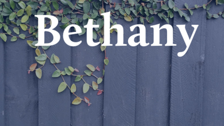 Tips on how to Decide on Fence Contractors and Fencing Companies