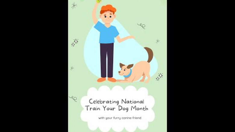 Useful Tips For National Train Your Dog Month