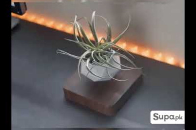 Buy plush dolls, stuffed toys big teddy bear price in Pakistan Supa.pk