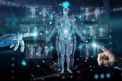 Contract Textile Market In Chemical and Materials Industry With Top Players