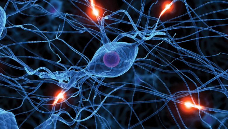 Global Bioelectric Medicine Market  Comprehensive Analysis and Future Estimations 2026