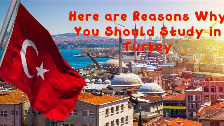 Here are Reasons Why You Should Study in Turkey