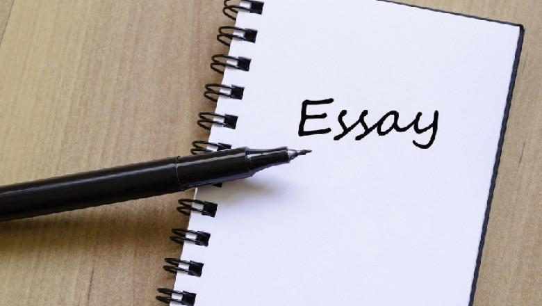 How To Succeed at Essay Writing