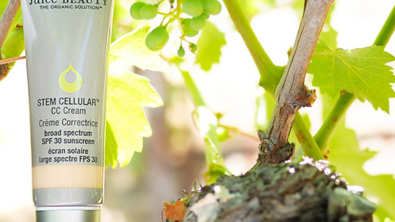Why Include Fruit in Organic Skincare Ingredients?