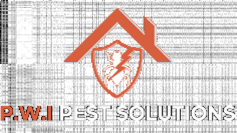 Pests Control Service