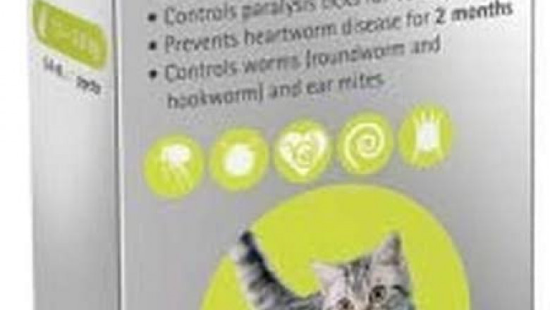 BRAVECTO PLUS for Cats 1.2 to 2.8 Kg GREEN Pack 1 Pipette