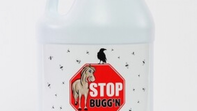 Fly Control Is Simpler Than You Believe