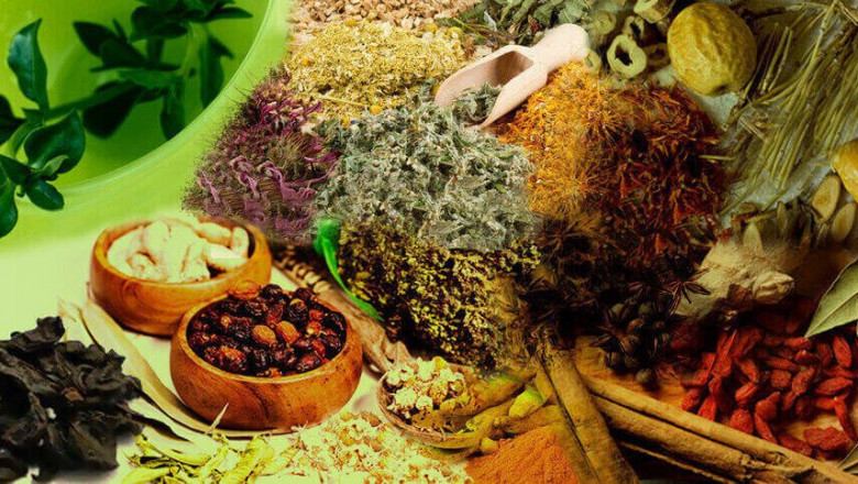 The Best Medicine to Treat Jaryan Problem Treatment