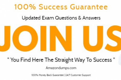 Use DVA-C01 Dumps And Get Success In The Amazon Exam In Your Single Try
