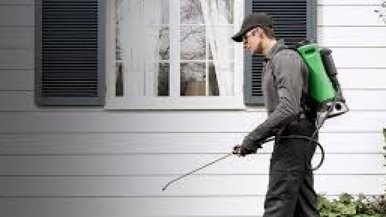 Ensure To Hire Pest Control Services by Professionals