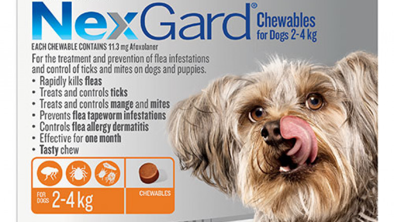 Nexgard Chewables For Dogs 2-4 Kg Orange | DiscountPetCare