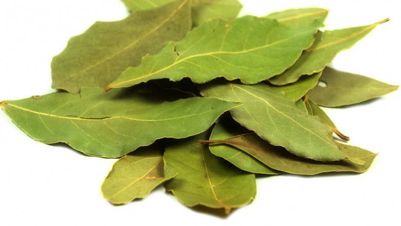 Bay Leaf Oil