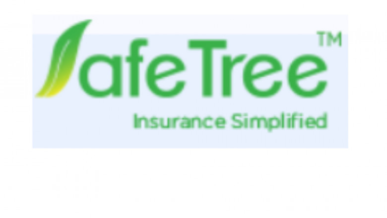 Why is Motor Insurance Important?