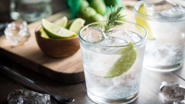 Gin Market Emerging Company In Developing Countries Forecast to 2028