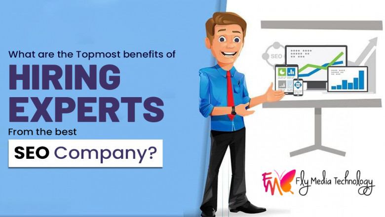 Reasons Why You Need a SEO Specialist in Your Business