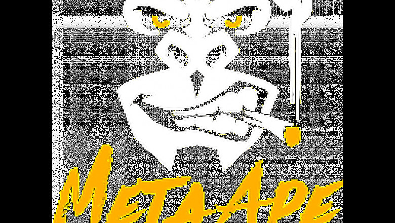 Disposable Vape Oem|Metaapevape