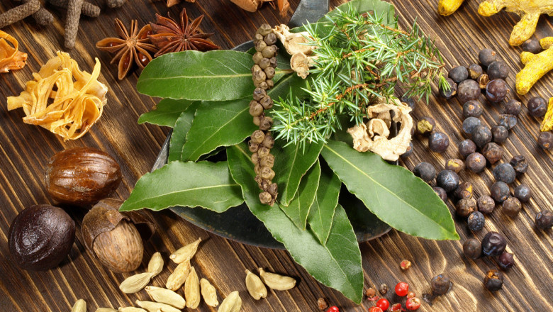 Natural Remedies for Jaryan Treatment