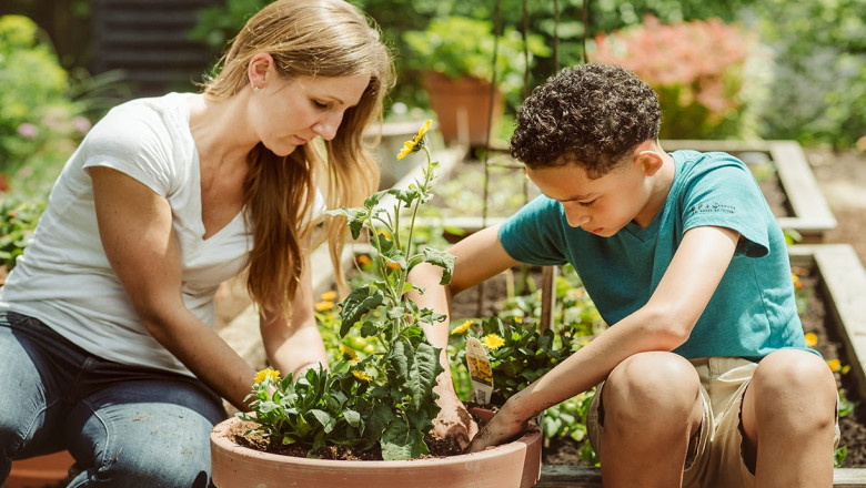 The Benefits of Gardening for Mental Health