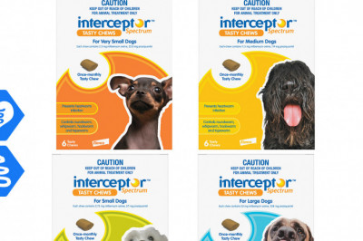 Interceptor Spectrum Worm Protection for Dogs 6 Chews