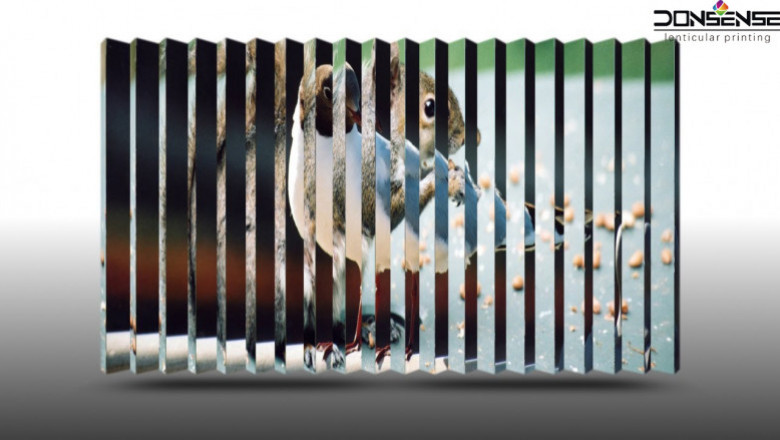 Lenticular Print