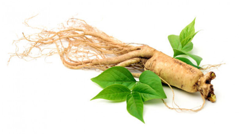 Ginseng Market Size to Grow at a CAGR of 4.2% During the Forecast Period 2021-2026