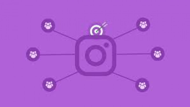 Questions to Ask When Choosing a Target Audience on Instagram?