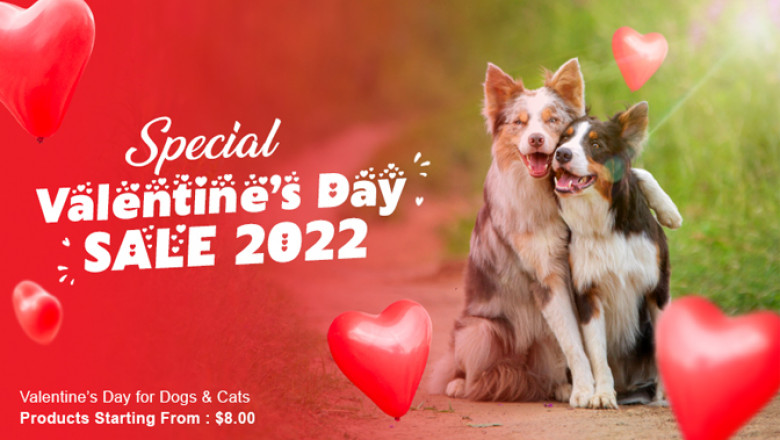 Special Valentine’s Day Sale 2022 | DiscountPetCare