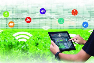 The Agriculture Industry Is Being Transformed By The Internet Of Things