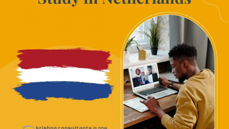 Five Student-friendly Cities to Study in the Netherlands
