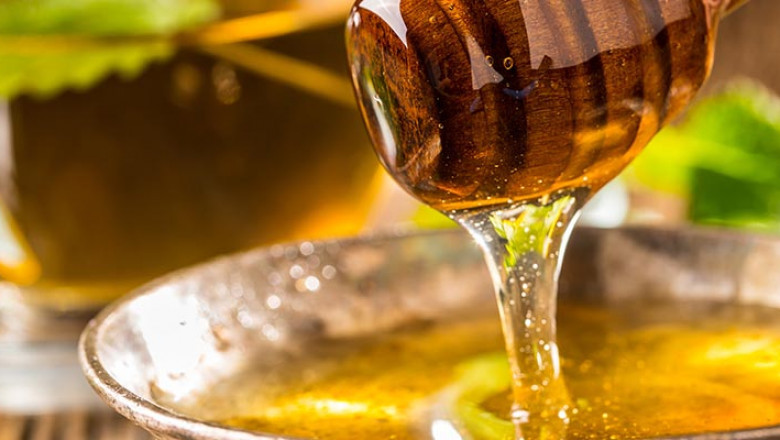 Buying bees online