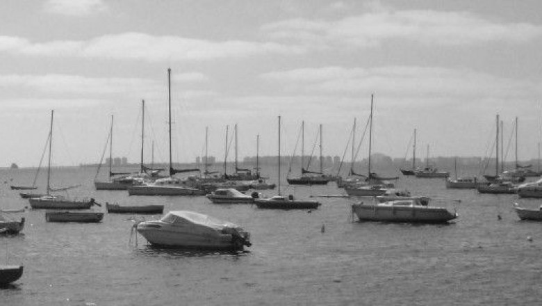 How To Choose the Best Legal Document Translator?