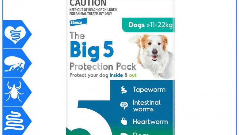 The Big 5 Protection Pack 6 chews for Dogs 11-22 Kg Green Pack