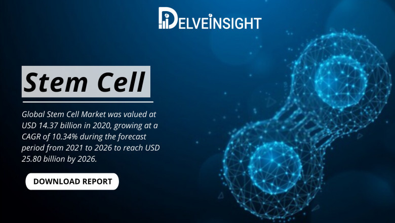 What is the Stem Cell Market?