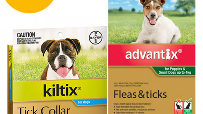 Buy Advantix & Kiltix Collar Combo Pack For Dogs | DiscountPetCare