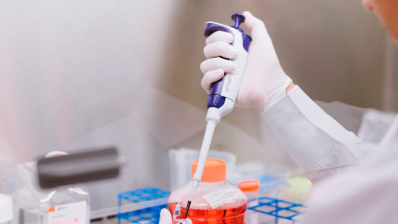 Stem Cell Assay is used to examine and study the response of progenitor cells to other stromal cells in a microenvironment