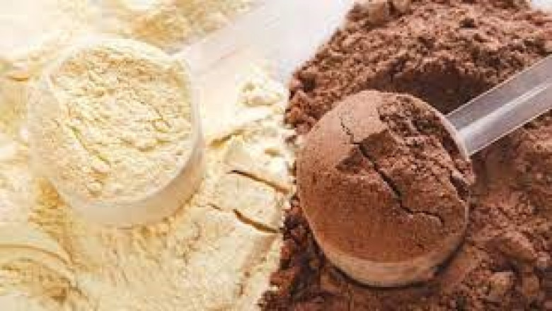 The Protein Diaries