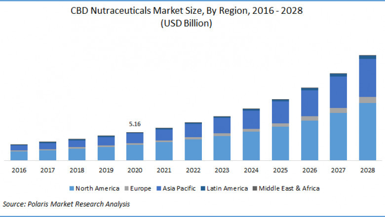 CBD Nutraceuticals Market Size & Share to be Worth USD 19.25 Billion By 2028, at 18.2% CAGR: Polaris Market Research