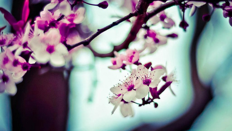 the 10 scariest things about massage